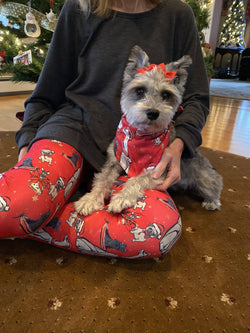 Christmas Doggy Leggings | Size Inclusive